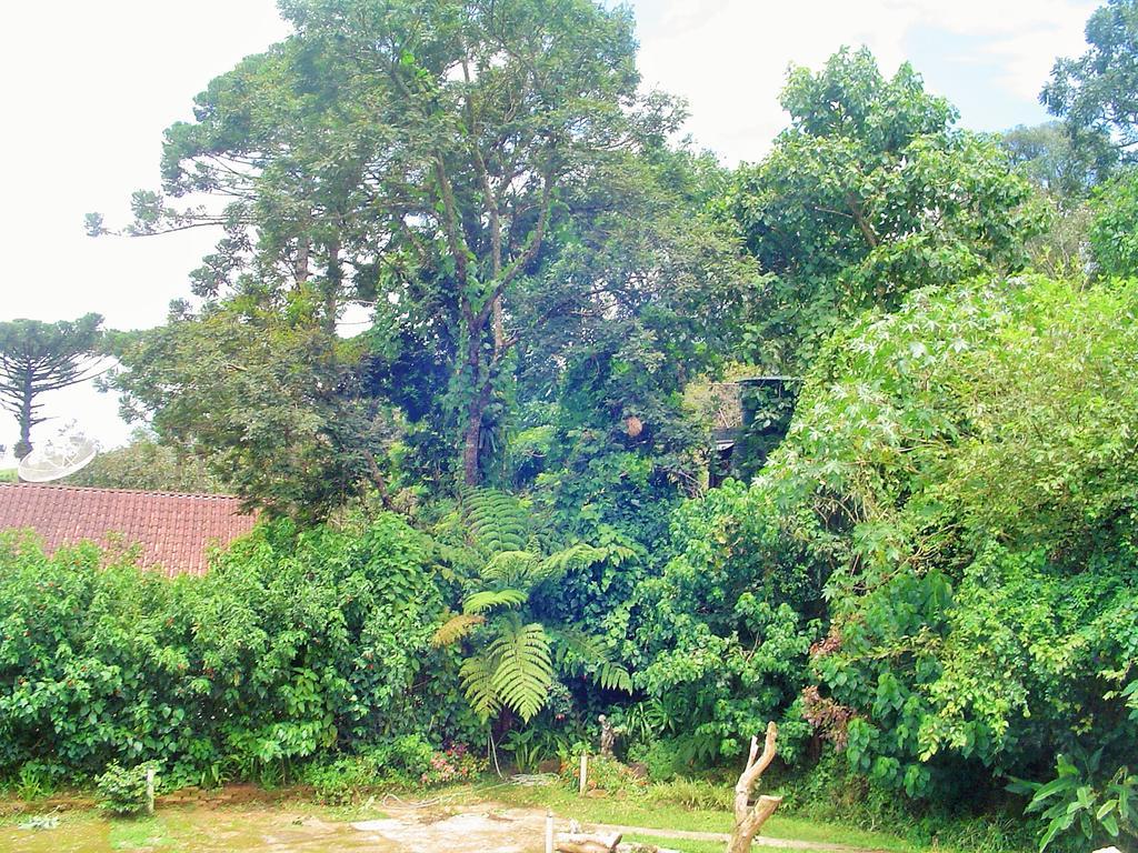 Casa Dell Angelo Apartamentos Visconde De Maua Zewnętrze zdjęcie